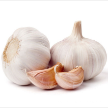 Wholesale Garlic Normal White Fresh Garlic